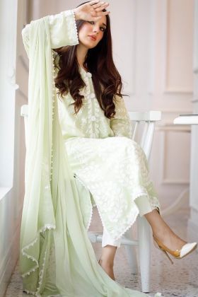 Light Green Shine Embroidery Work Straight Salwar Suit