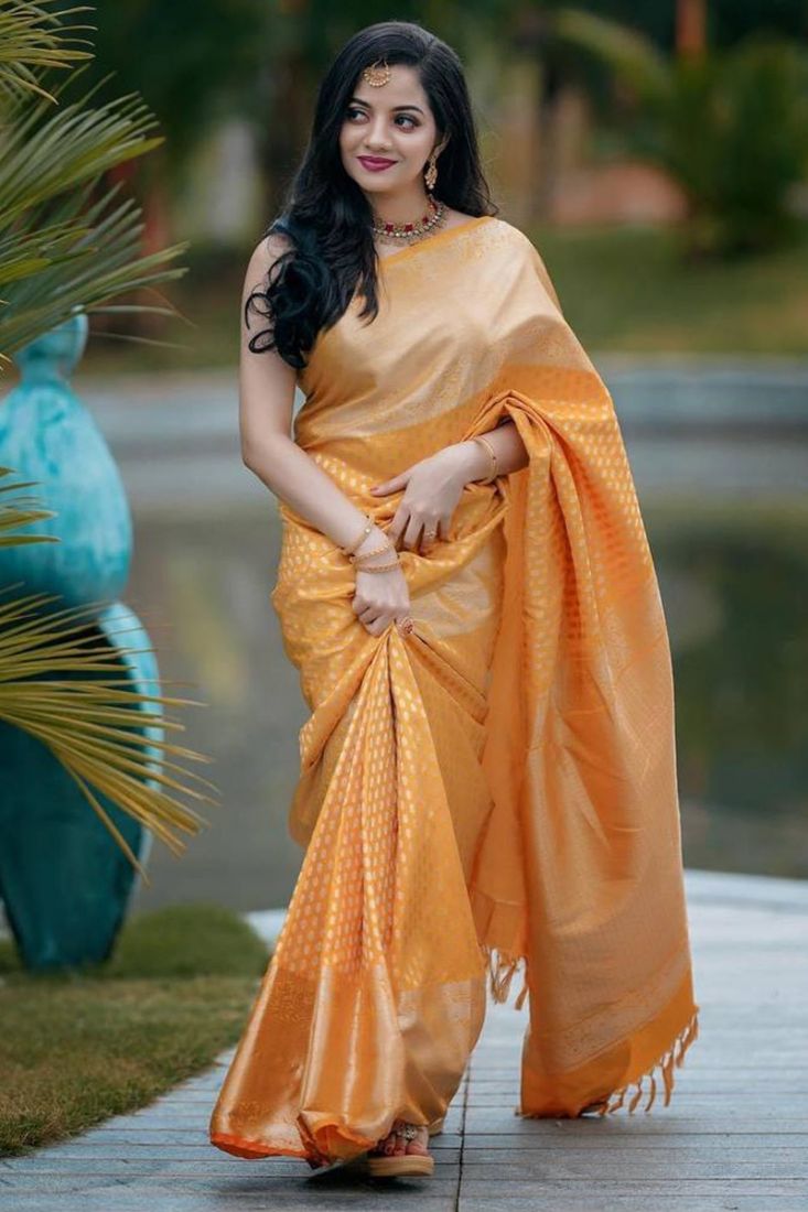 Presenting Kanchipuram Silk With beautiful Border And Rich Pallu With Silver  Zari Waving Silk Saree